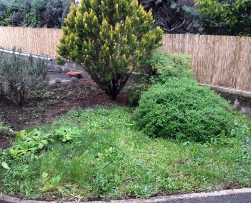 Zone de terrain à préparer avant de réaliser un jardin sec