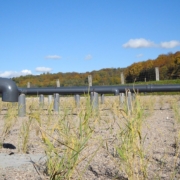 Photo représentant l'activité d'assainissement d'OASURE. On observe une station d'épuration avec des roseaux fraichement plantés