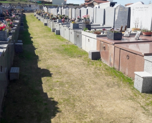 Engazonnement d'une allée de cimetière