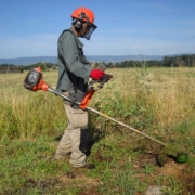 Photo représentant l'activité d'entretien d'espaces verts d'OASURE. On observe un salarié en train de débroussailler un terrain avec une débroussailleuse.
