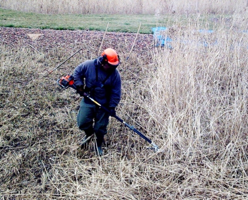 Photo représentant l'activité d'entretien des espaces verts d'OASURE. On observe un salarié en train de faucarder des roseaux avec une débroussailleuse