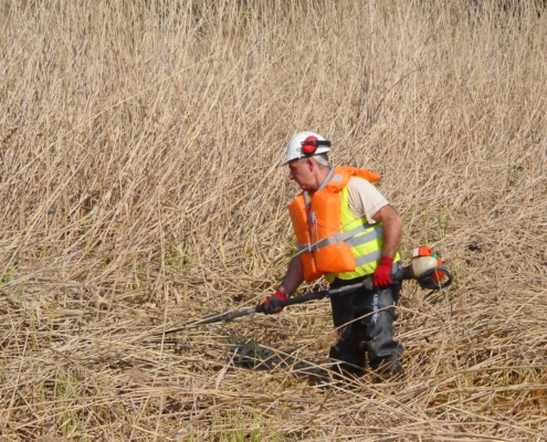 Photo représentant l'activité d'entretien des espaces verts d'OASURE. On observe un salarié en train de faucarder (couper les roseaux) avec une débroussailleuse.