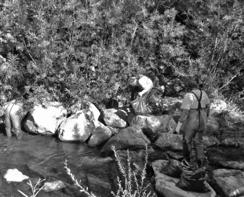 Photo représentant l'activité d'entretien d'espaces verts. On observe des salariés dans une rivière en train de ramasser les déchets.