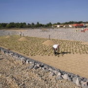 Photo représentant l'activité de plantation de roseaux d'OASURE. Elle est illustré par des salariés en train de planter des roseaux dans la station d'épuration de Mèze
