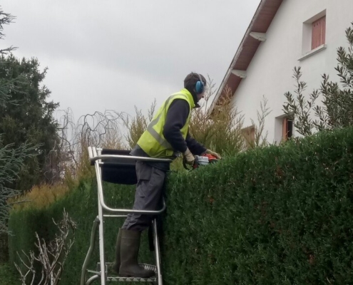 Photo représentant une ancienne activité d'OASURE de service à la personne. Elle est illustré par un salarié sur une échelle en train de tailler une haie avec un taille haie. .