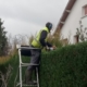 Photo représentant une ancienne activité d'OASURE de service à la personne. Elle est illustré par un salarié sur une échelle en train de tailler une haie avec un taille haie. .