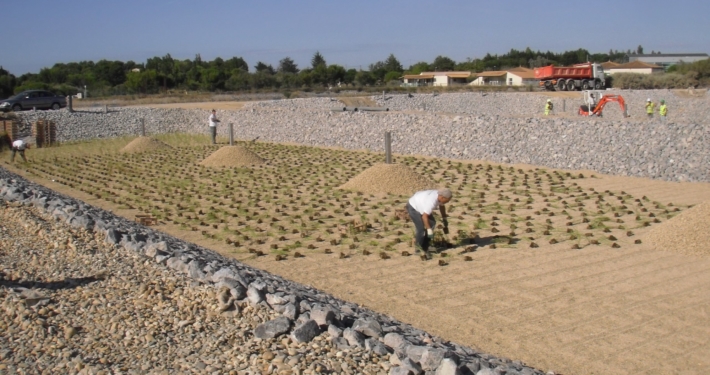 Photo représentant l'activité d'assainissement d'OASURE. On observe des salariés dans une une station d'épuration en train de planter des roseaux.