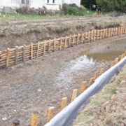 Vue d'ensemble d'un couloir de berge du canal du Forez avec les pieux de chaque côtés